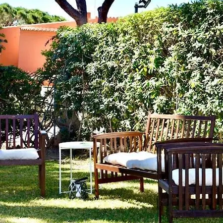 Alice クアルテイラ